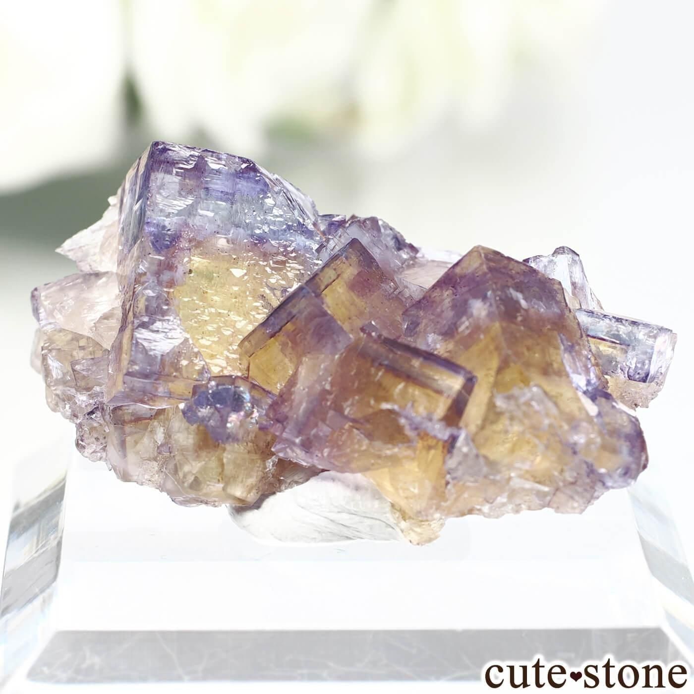 アメリカ イリノイ州 Minerva No. 1 Mine産 イエロー×ブルーフロー