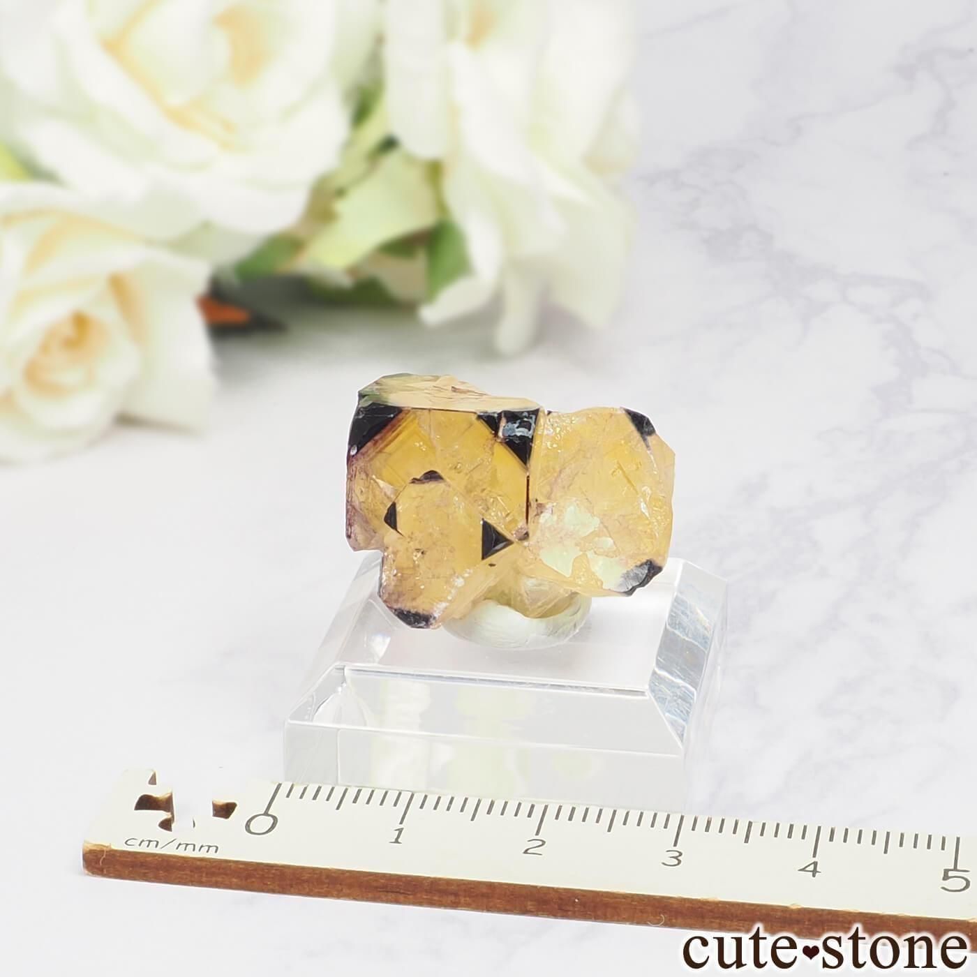 ナミビア Okorusu Mine｜D-Pit産 フローライトの原石 No.74 - cute stone -