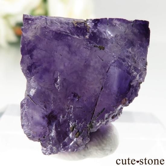 メキシコ オハエラ鉱山産 フローライト パイライト付き蛍石原石 赤色強