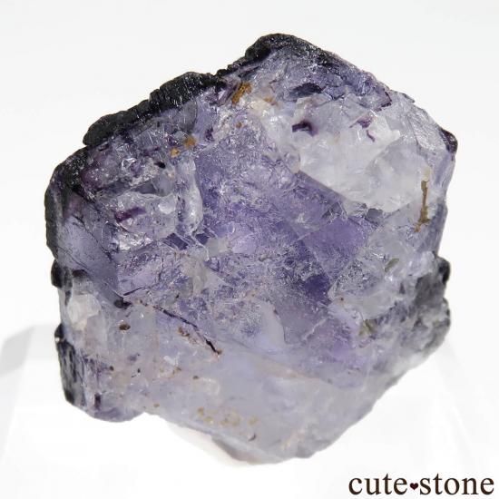 375 フローライト エロンゴ産 ブルーグリーン パープル 蛍石 ナミビア