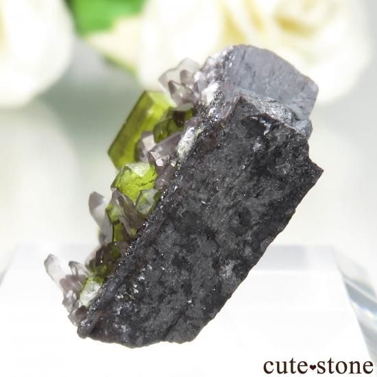 母岩付きスタルマナイト/カルサイト