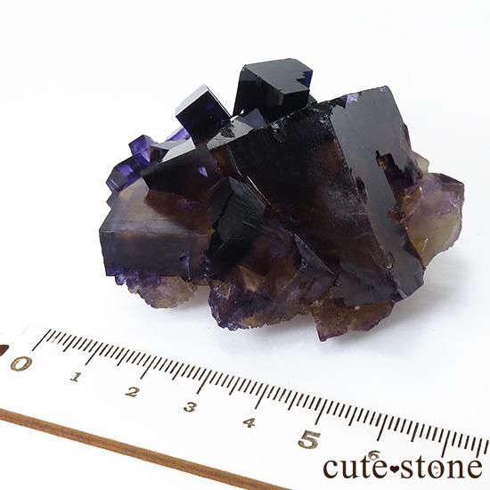 イリノイ産 パープル×イエローフローライト(蛍石)の原石 - cute stone -