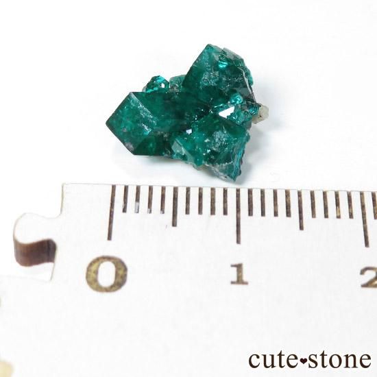 カザフスタン産のダイオプテーズの原石（クラスター）1.1g- cute stone -