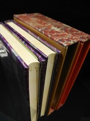 ユンガー『ヘリオーポリス』田尻三千夫訳、国書刊行会、上下揃