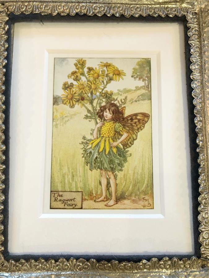 花の妖精 花の妖精 花の妖精 カード検索 ｜ Z/X - Zillions of enemy X