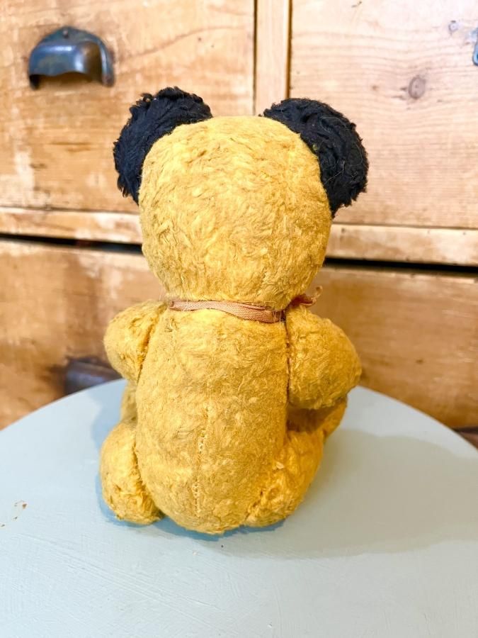 ヴィンテージ スーティーベア - アンティークとテディベアの店 Parade