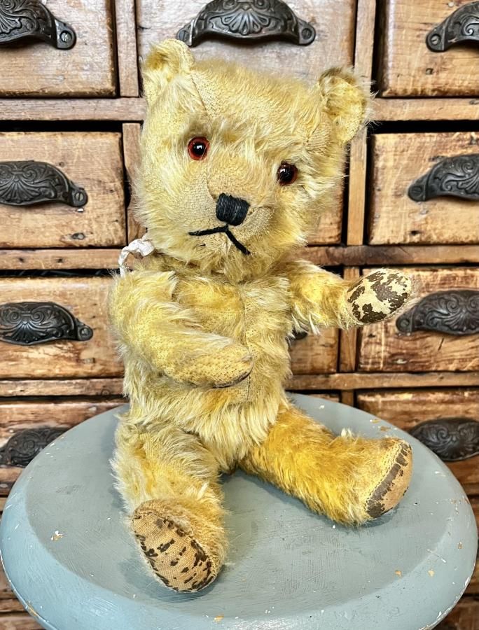 チルターンベア 35.5cm - アンティークとテディベアの店 Parade