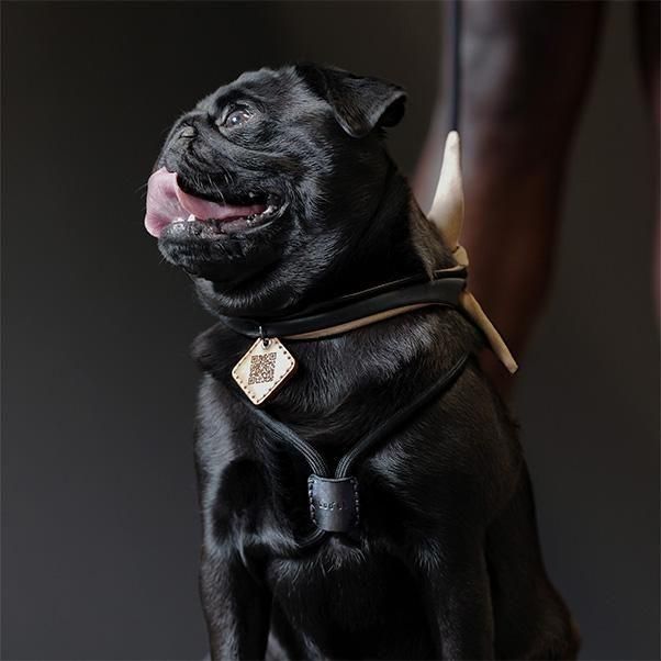 Boo'oh】Ray Harness (ブーオー・レイハーネス) オールインワン