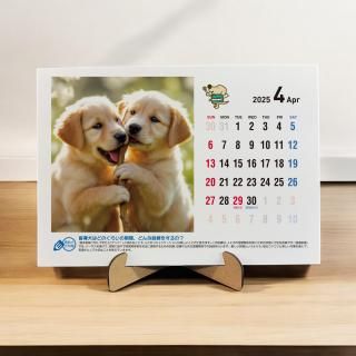 盲導犬オリジナルチャリティーグッズ」GUIDEDOG meets UCHINOKO