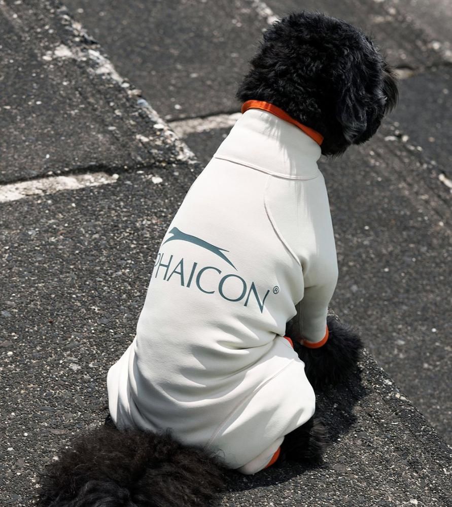 ALPHAICON AIR LINER エアライナー RETRO SKI SM アルファアイコン AIR