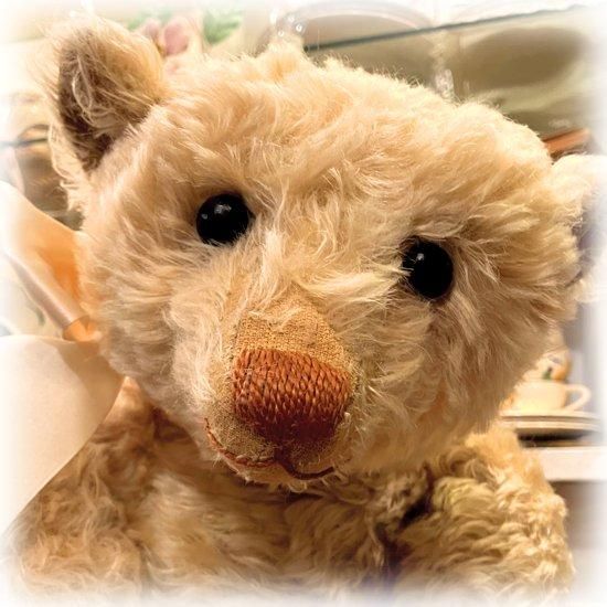 フォーゲットミーノットベア⭐︎パンダ希少 2025年最新】フォーゲット