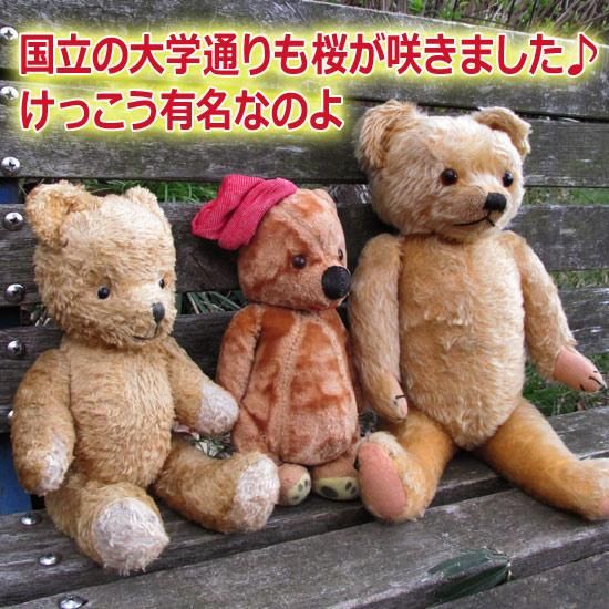 イギリス1945～'56年製 ”メリーソート社（MerryThought）” テディベア