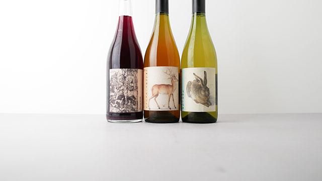 1700] Dornfelder Pet Nat 2024 Anonymous / ドルンフェルダー ペット