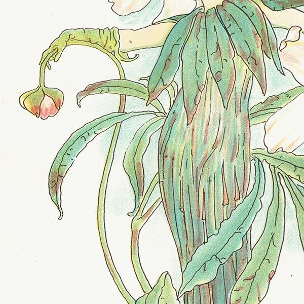 志村立美「木場(Ⅰ)」シルクスクリーン刷り込みサイン・落款・作品証明