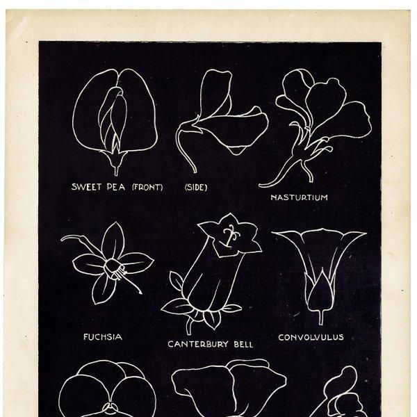 美品 ファビアン・ドラクロワ「モンテカルロ」リトグラフ 直筆サイン入