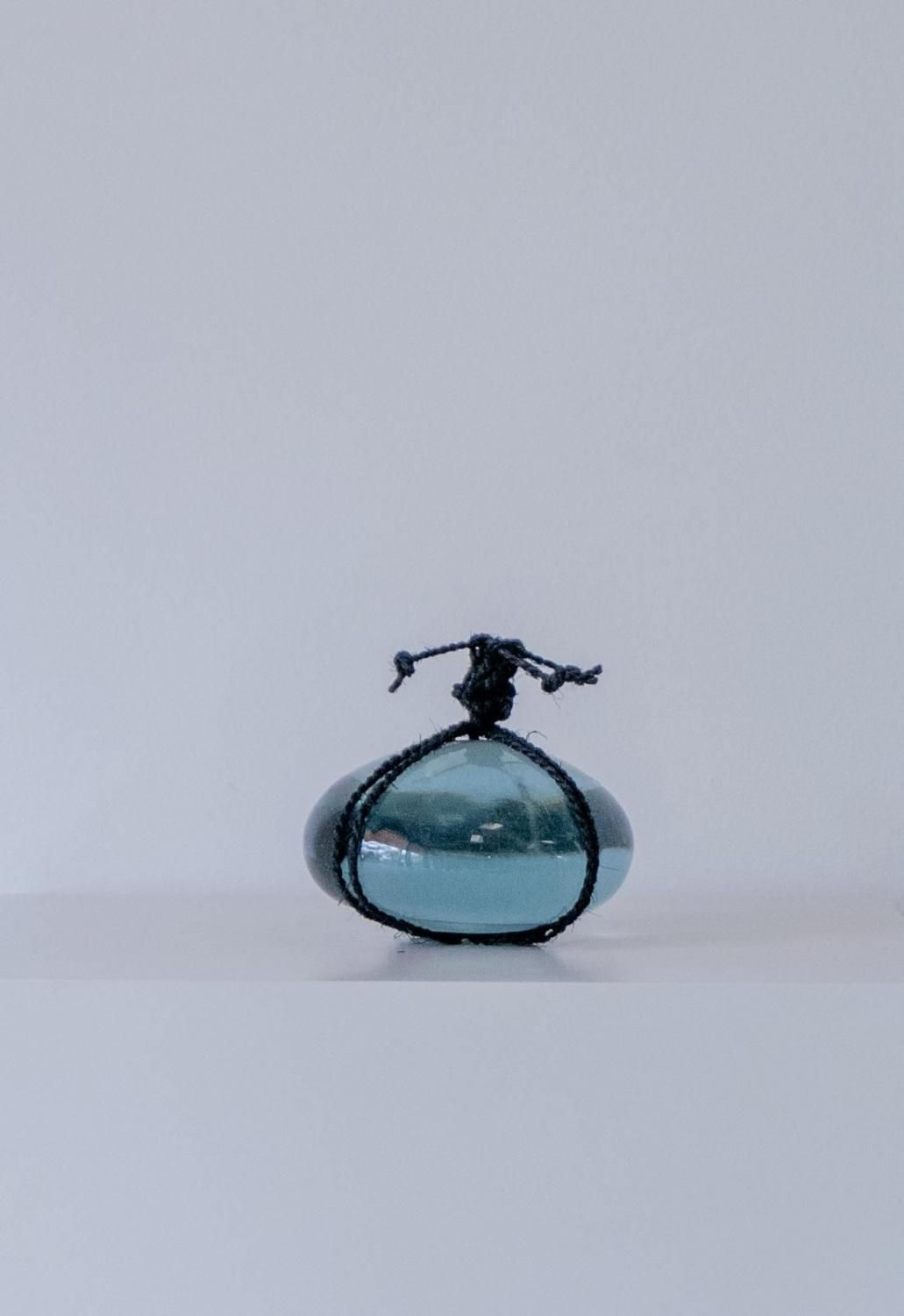 イモリ？どじょう？ 文鎮