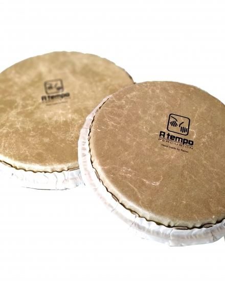 ボンゴヘッド】新品/TB800-RH85/RH70 ボンゴヘッドセット ボンゴヘッド