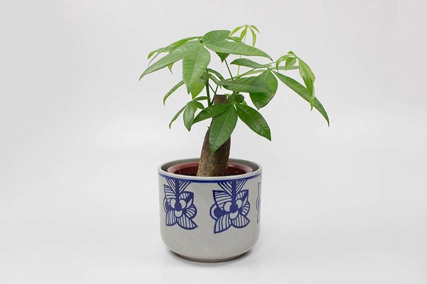 Lisa Larson×波佐見焼 flora - ディベルティーレ（Divertire