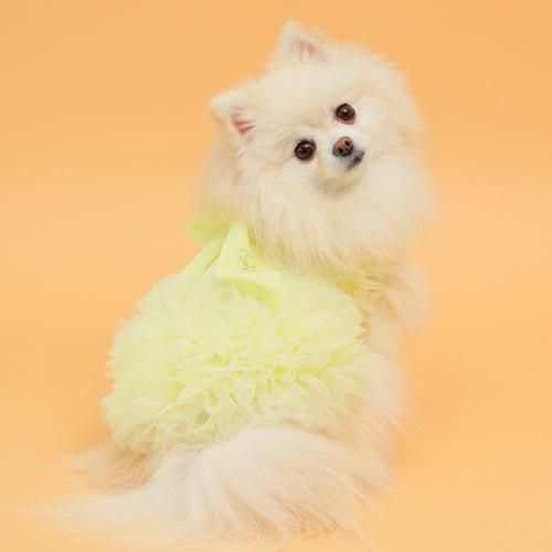 COOLブライトチュチュワンピース - GODPIVA（ゴッドピバ）： 犬のお