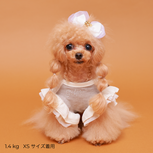 あったかテラボアRIBONワンピース - GODPIVA（ゴッドピバ）： 犬のお