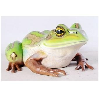 開運】幸運を呼ぶ?! 蛙・かえる☆親キンスジアメガエルのビッグ