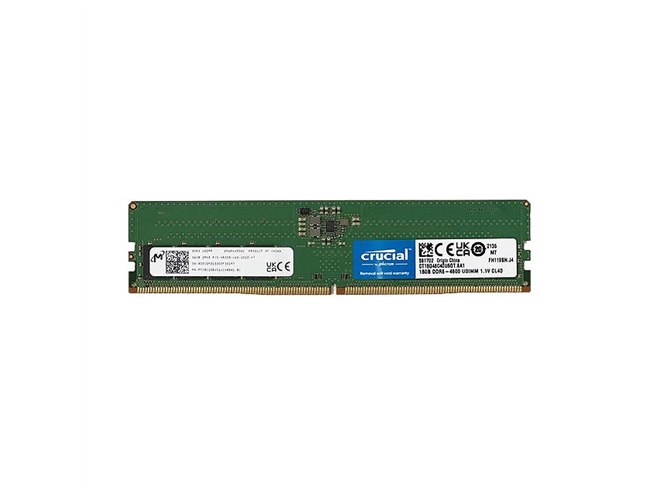 メモリー CFD STANDARD DDR5 32GB (16GB x 2) | CFD販売