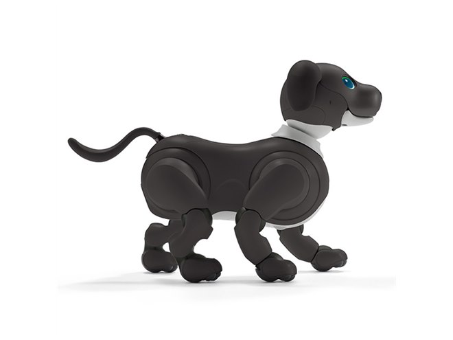 aibo（アイボ）」の2023年カラー「エスプレッソ エディション」が本日1