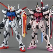BANDAI MG 1/100 機動戦士ガンダムSEED DESTINY ストライクルージュ