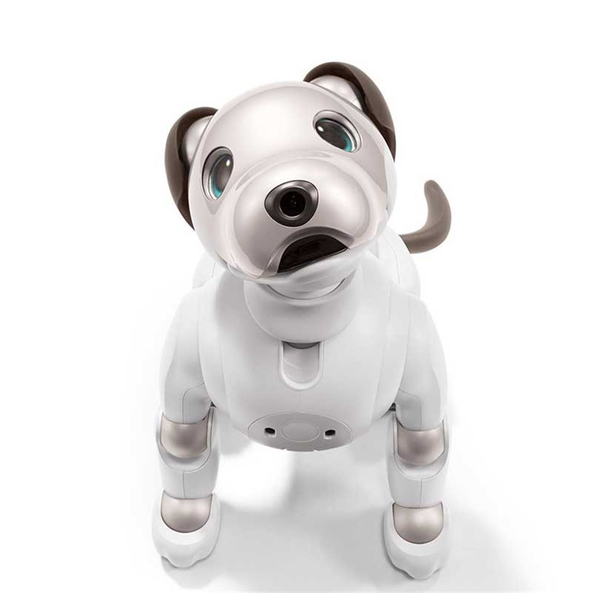 初回分が完売した「aibo」、次回予約開始は11月11日午前11時01分に