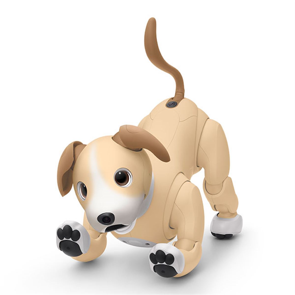 ソニー SONY アイボ ERS-1000 AIBO 犬型 Sony aibo Companion Robot
