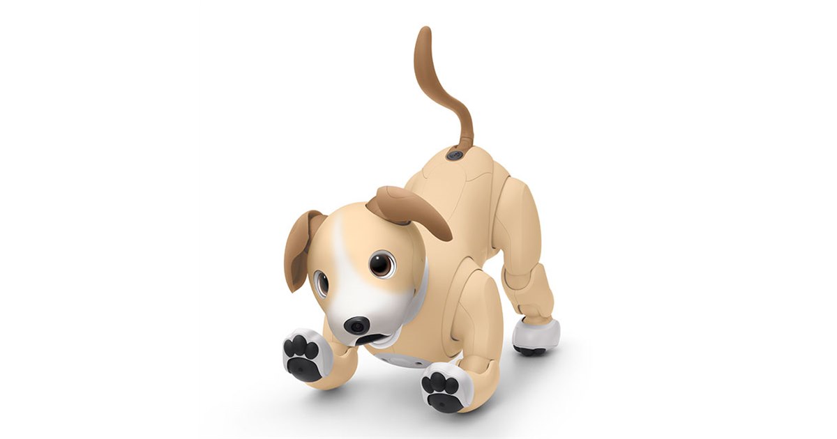 ソニー、「aibo」の2024年カラー「きなこ エディション」 - 価格.com