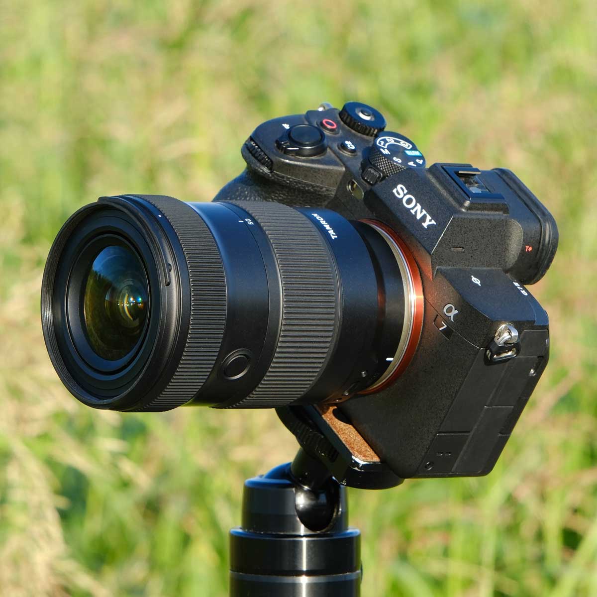 Kazu】TAMRON タムロン 17-50mm 14 Kazu】TAMRON タムロン 17-50mm 14