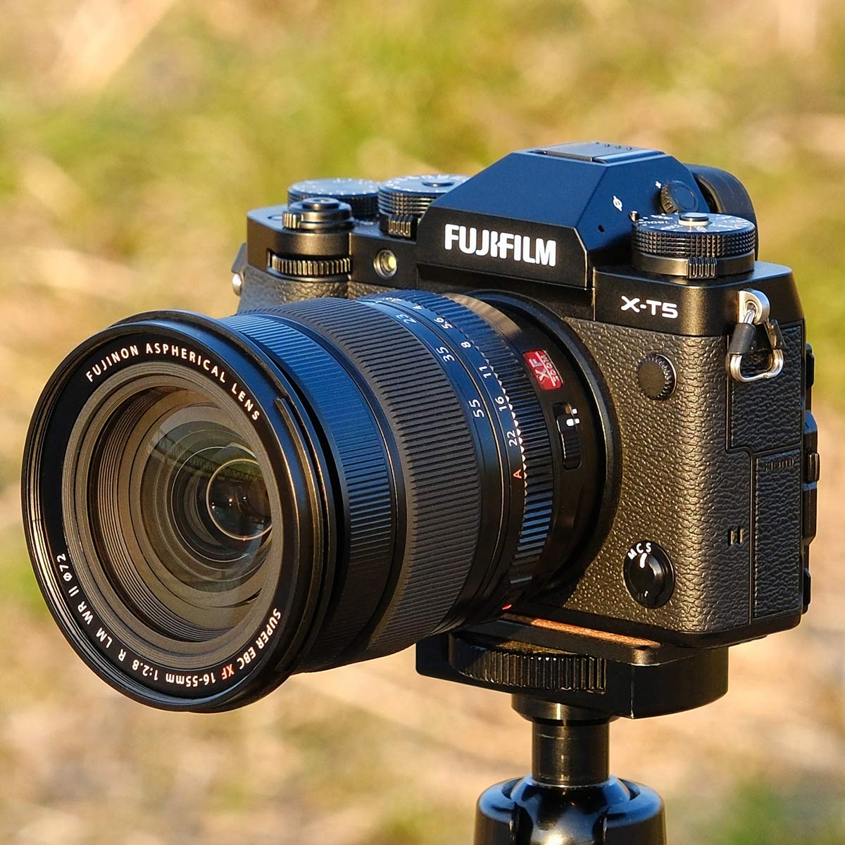 XF16-55mmF2.8 II」の人気商品一覧 | 安い商品を通販サイトから探す