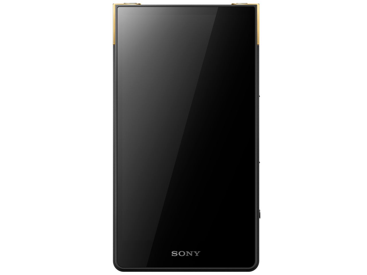 SONY NW-ZX507 64GB デジタルオーディオプレーヤー SONY NW-ZX507