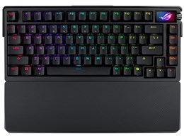 rog azoth」の人気商品一覧 | 安い商品を通販サイトから探す - 価格.com