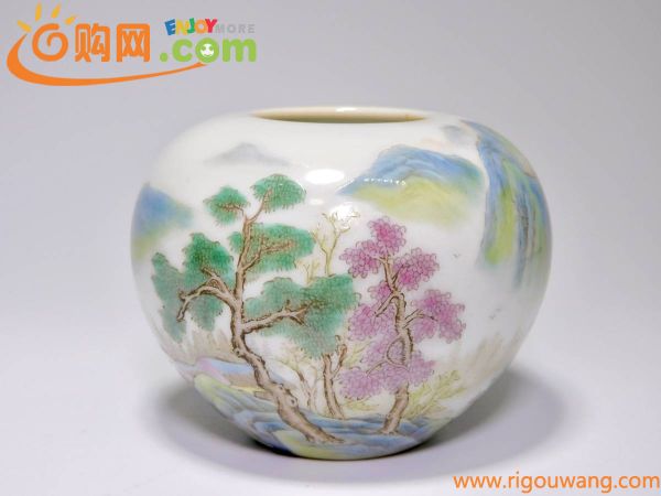 中国古玩 唐物 清代 大清洪武年製 龍文染付中皿