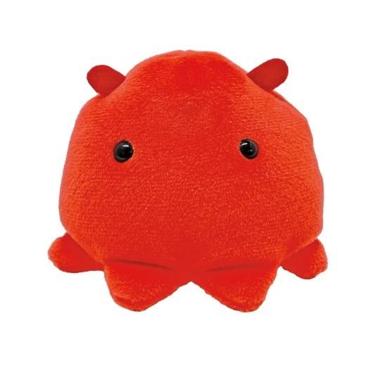 ご相談ページ ぷにぷにめんだこ ご相談ページ ぷにぷにめんだこ