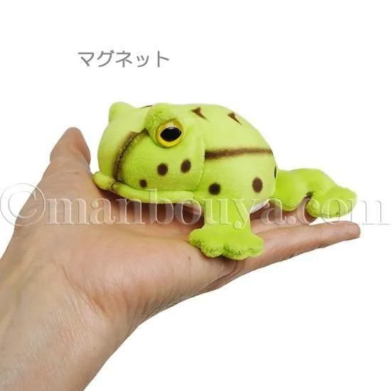 10%OFF】カエル ぬいぐるみ ベルツノガエル アニマニア 3サイズセット