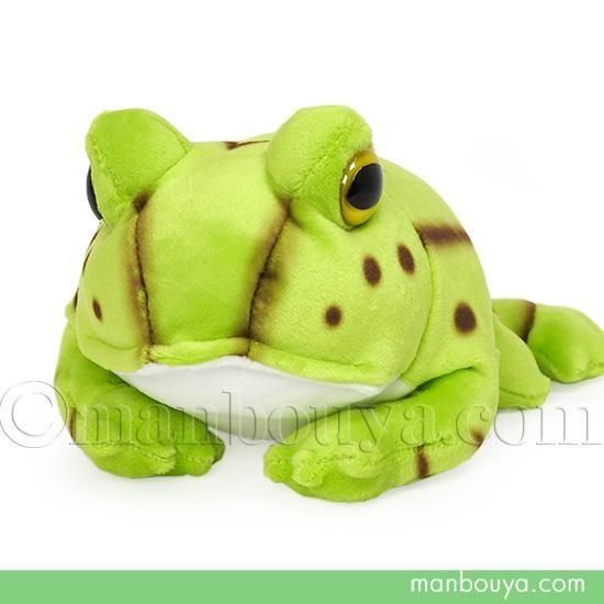 カエル ぬいぐるみ ベルツノガエル テイクオフ takeoff アニマニア S
