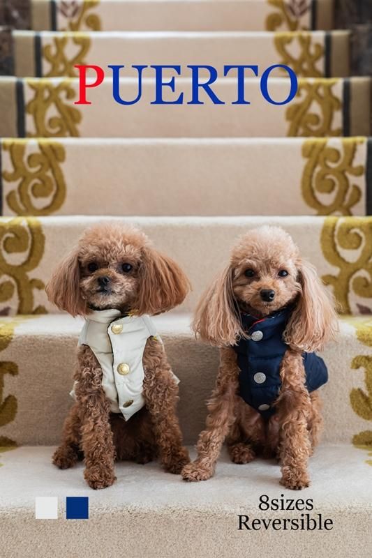 犬服 PUERTO プエルト GG MADE IN TOKYO.