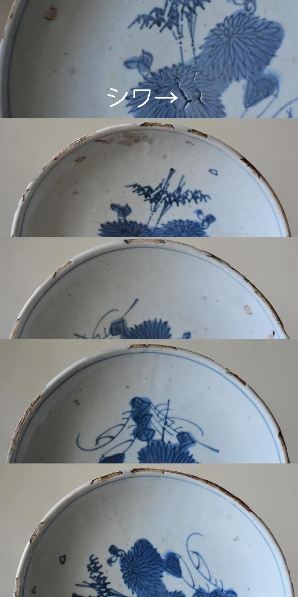 中国明時代 古染付上手菊図皿5枚 木箱付 約15.5㎝ 東Y7-0116☆2F 中国