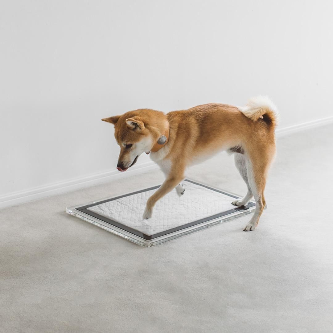 15832370.jpg?cmsp_timestamp=