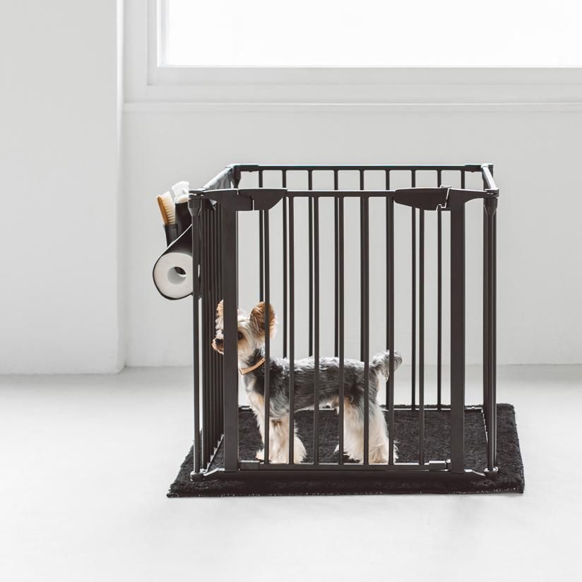 スタイリッシュドッグサークルラグ - ドッググッズ・猫グッズ通販 free