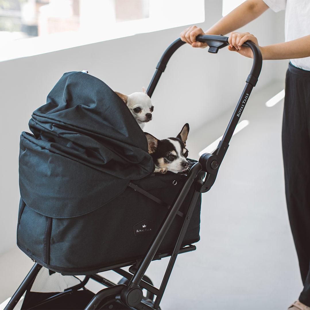 ROYAL TAILS Florence（ロイヤルテイルズ フローレンス） - ドッグ