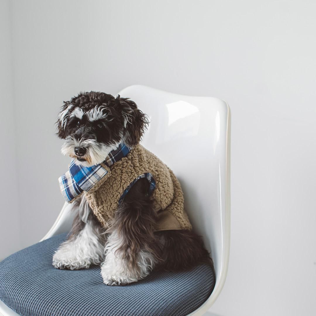 リバーシブルボアジャケット&マフラーセット - ドッググッズ・猫グッズ