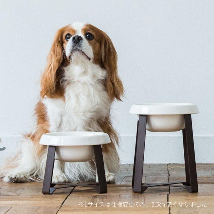 pecolo Food Stand L 陶器 深型 - ドッググッズ・猫グッズ通販 free