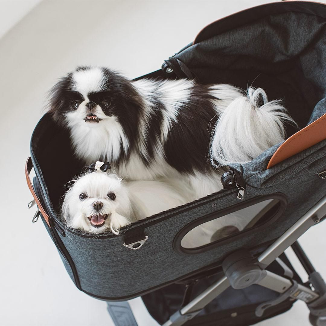 Royal Tails Grace Classic ペットカート ROYAL TAILS Grace Classic