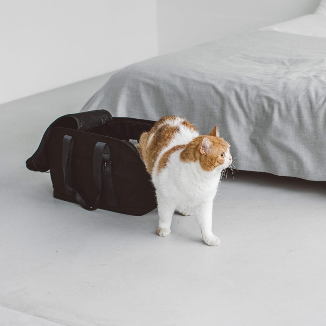 バルコディ スクエアトート ブラインドカバー付き - ドッググッズ・猫