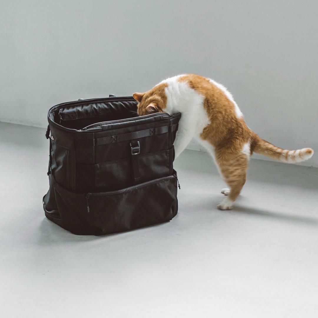 コンフォータブル リュックサック - ドッググッズ・猫グッズ通販 free