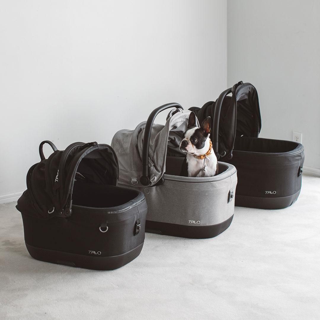 TAVO Maeve iso メイブ アイソ 6X - ドッググッズ・猫グッズ通販 free